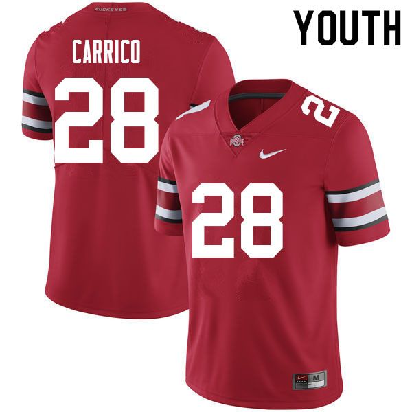 Youth Nike Ohio State Buckeyes Reid Carrico #28 Red NCAA Authentic Stitched College Football Jersey ETU07R3P